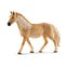 Klisna plemene Haflinger
