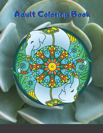 Adult Coloring Book