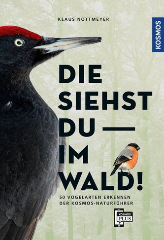 Die siehst du im Wald! 50 Vogelarten erkennen