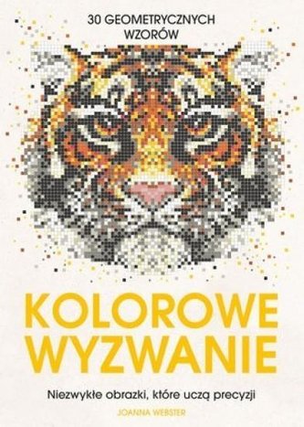 Kolorowe wyzwanie. 30 geometrycznych wzorów