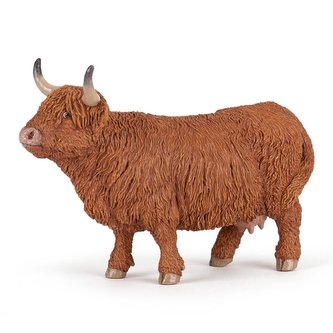 Kráva Highland cattle