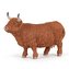 Kráva Highland cattle