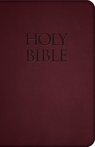 Holy Bible-Nab