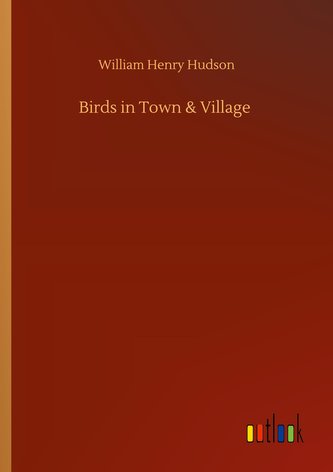 Birds in Town & Village
