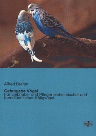 Gefangene Vögel