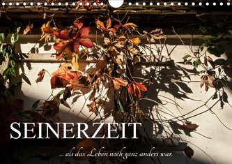 Seinerzeit (Wandkalender 2020 DIN A4 quer)