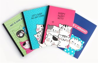 Notatnik B5/60K kratka M&G;