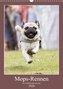 Mops-Rennen (Wandkalender 2020 DIN A3 hoch)