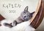 Katzen 2021 (Wandkalender 2021 DIN A4 quer)