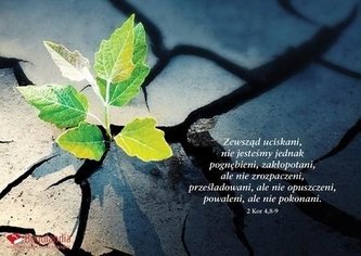 Kartka 27 - Zewsząd uciskani, nie jesteśmy jednak