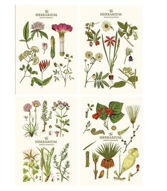 Notes A5/64K gładki Sketch&note Herbarium ASTRA