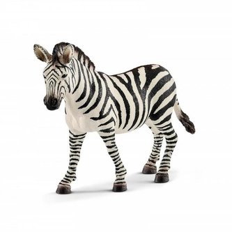 Zebra, klisna
