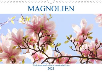 Magnolien Ein Blütenrausch (Wandkalender 2021 DIN A4 quer)