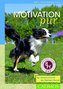Motivation pur
