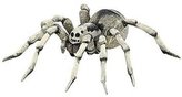 Tarantule