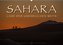 Sahara - Land der unendlichen Weite (Wandkalender 2021 DIN A2 quer)
