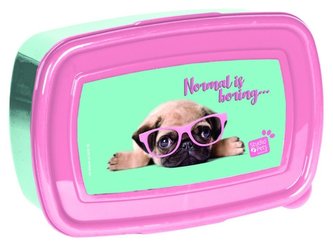 Śniadaniówka Studio Pets PTM-3022 PASO