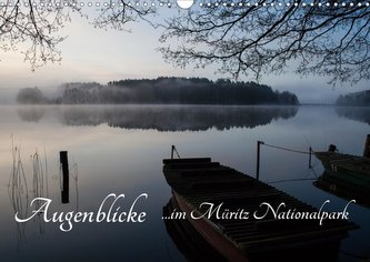 Augenblicke im Müritz Nationalpark (Wandkalender 2021 DIN A3 quer)