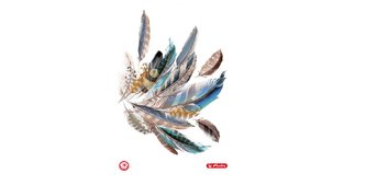 Brulion A4/96K kratka Feathers (5szt)