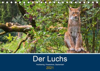 Der Luchs - Hochbeinig, Pinselohren, Backenbart (Tischkalender 2021 DIN A5 quer)