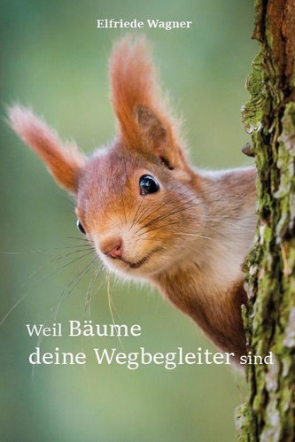 Weil Bäume deine Wegbegleiter sind
