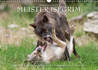 Meister Isegrim (Wandkalender 2020 DIN A3 quer)
