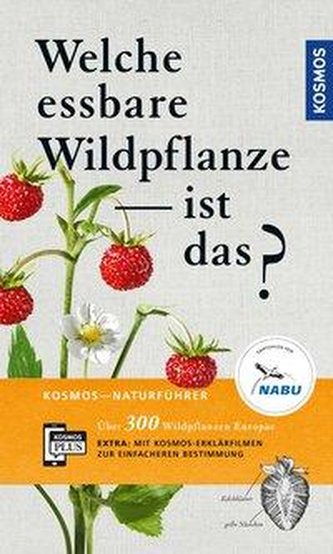 Welche essbare Wildpflanze ist das?