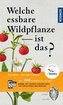 Welche essbare Wildpflanze ist das?