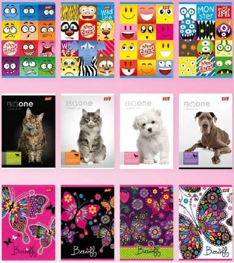 Zeszyt A5/32K kratka MIX dziewczęcy (15szt)