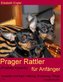 Prager Rattler (Prazský krysarík) für Anfänger