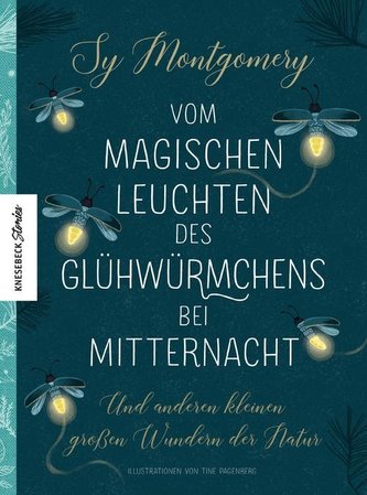 Vom magischen Leuchten des Glühwürmchens bei Mitternacht Vom magischen Leuchten des Glühwürmchens bei Mitternacht