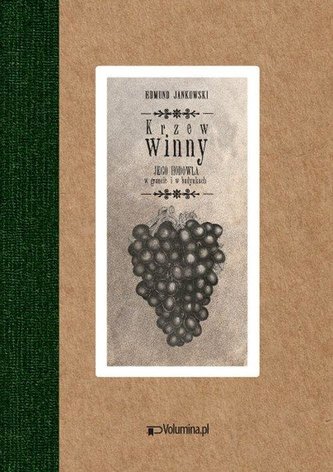 Krzew winny