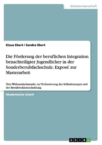 Die Förderung der beruflichen Integration benachteiligter Jugendlicher in der Sonderberufsfachschule. Exposé zur Masterarbeit