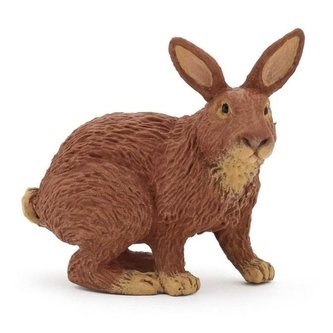 Králík hnědý