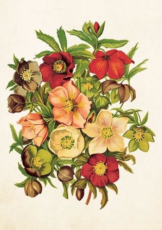 Karnet ST258 B6 + koperta Ciemierniki