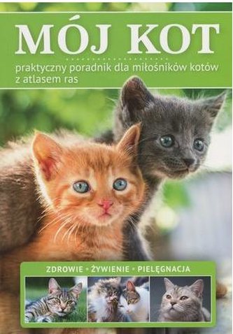 Mój Kot