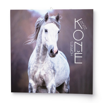 Koně 2022 - nástěnný kalendář