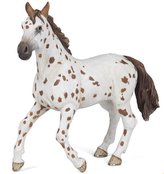 Klisna Appaloosa