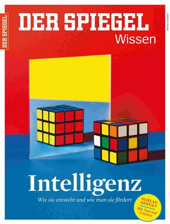 Intelligenz