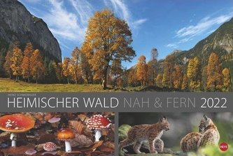 Wald nah und fern Edition - Kalender 2022