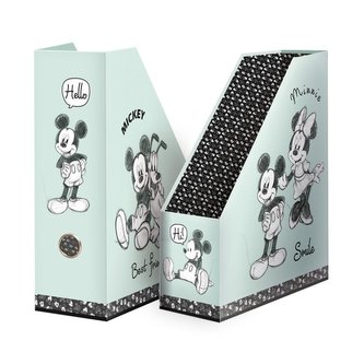 Archivační box Disney Mickey