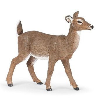 Laň jelence bíloocasého