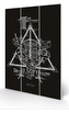 Obraz - malba na dřevě Harry Potter: Relikvie smrti - Deathly Hallows (20 cm x 29,5 cm)