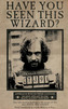 Plakát Harry Potter: Wanted Sirius Black (61 x 91,5 cm)