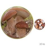 Zavařovací víčko BIO 82 10 ks