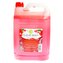 Clear Body tekuté mýdlo PE Pomegranate 5 L