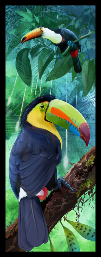 Sběratelská záložka - Ptáci 9