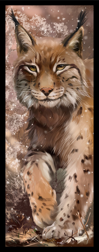 Sběratelská záložka - Divoké kočky 4