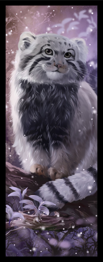 Sběratelská záložka - Divoké kočky 5