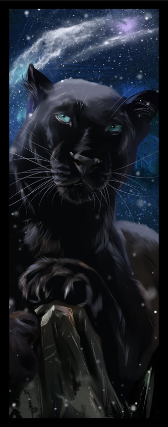 Sběratelská záložka - Divoké kočky 8